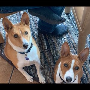 Meet your Posher, Jon